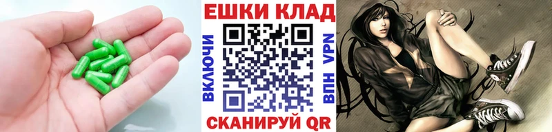 ЭКСТАЗИ Philipp Plein  ссылка на мегу как зайти  Сегежа  купить наркоту 
