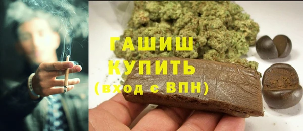 мдпв Ладушкин