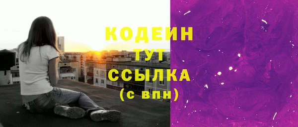 мдпв Ладушкин