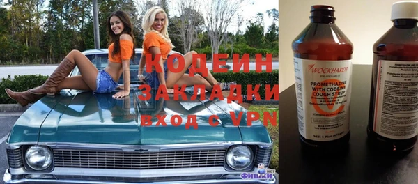 мдпв Ладушкин