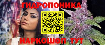 гидра Пушкино