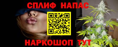 гидра Пушкино