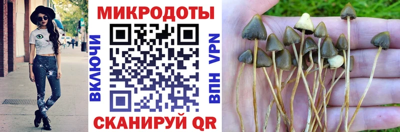Псилоцибиновые грибы мицелий  Сегежа 