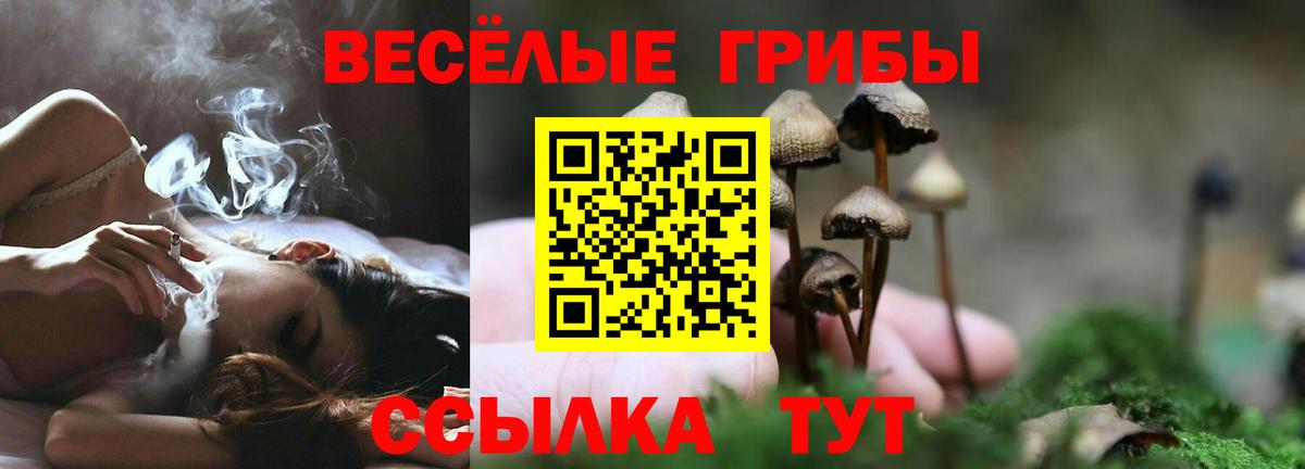 хочу наркоту  Псилоцибиновые грибы мицелий  Псилоцибиновые грибы прущие грибы  Вход с VPN  Сегежа 